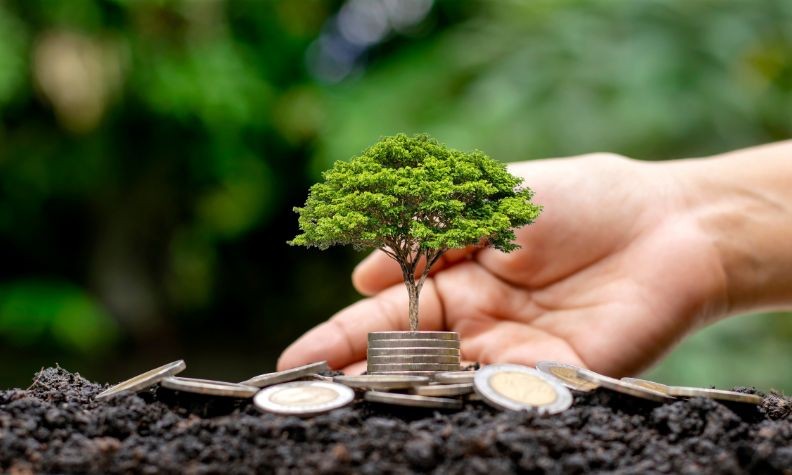 Thần số học 9 năm 2025: Hành trình khép lại và khởi đầu mới cho mẹ